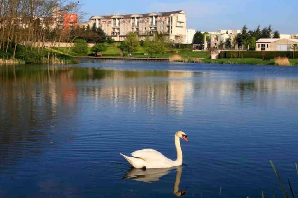 Tres Bel Appartement Entre Paris Et Disneyland Lognes Exterior foto